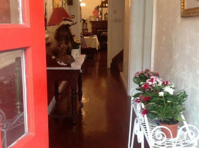 Guest house Sheehans On Main Street Kenmare